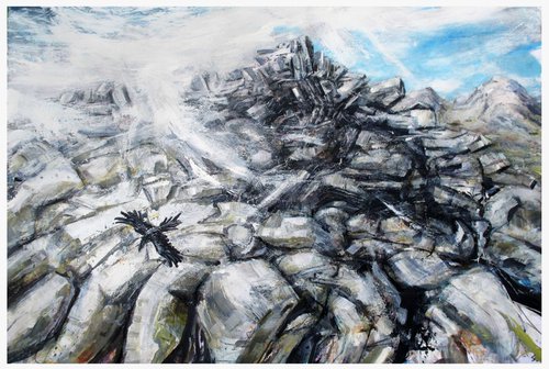 Raven, Broad Crag, Cumbria by John Sharp