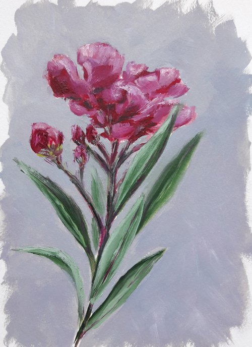 Oleander by Olga Tretyak