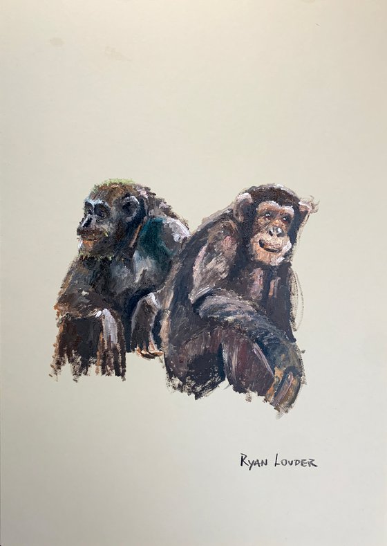 Two Chimpanzees