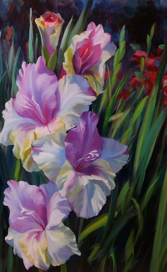 "Gladiolus"