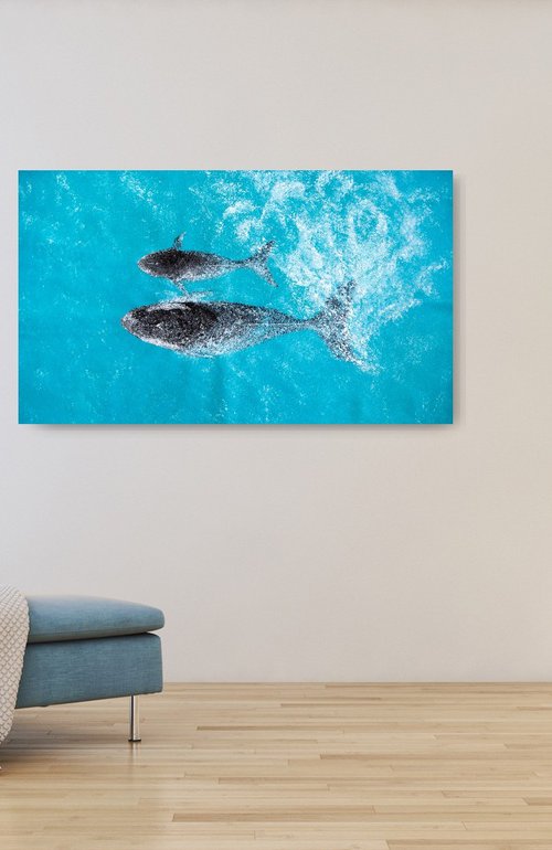 Whales by Rimma Savina