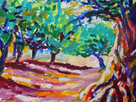 Olive grove No 23