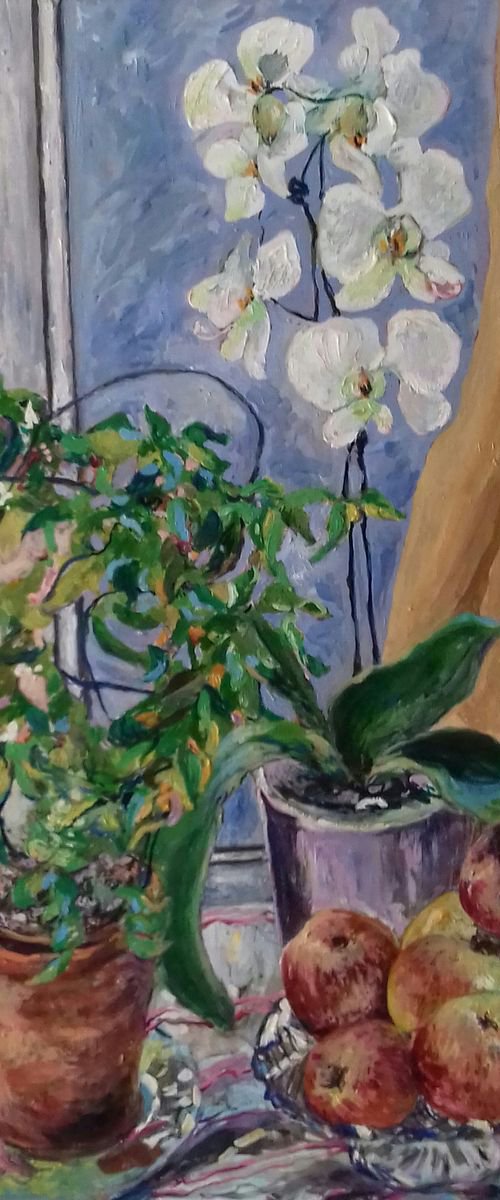 Still Life With Jasmine And Orchids by Ann Kilroy