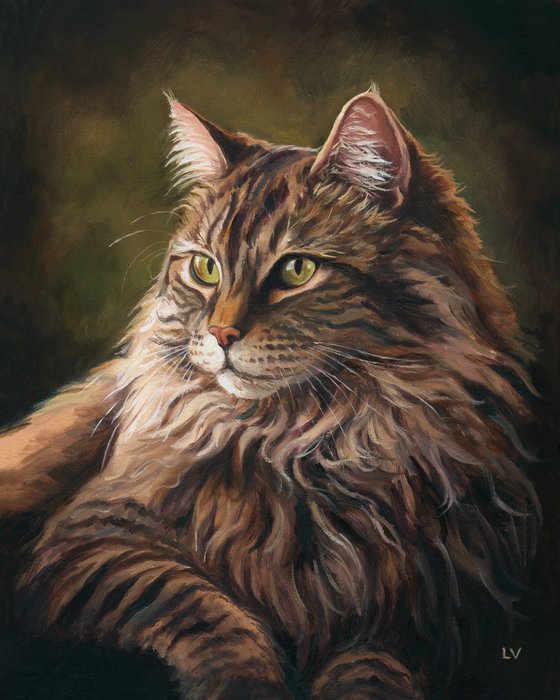 Majestic Maine Coon cat with green eyes
