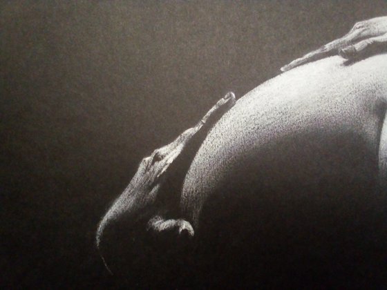 Nude noir #274 (29X21)cm