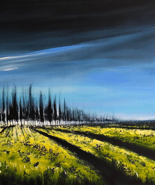Horizon line III - Fields and Colors Series- by Danijela Dan