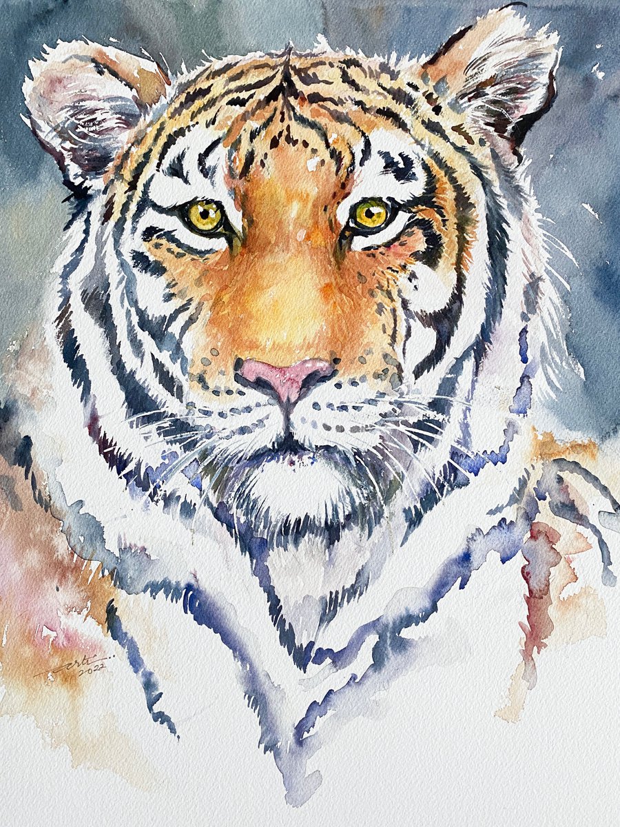 Regal Ray_Tiger by Arti Chauhan