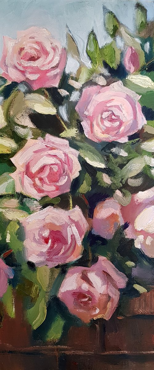 Roses by Olga Lomax