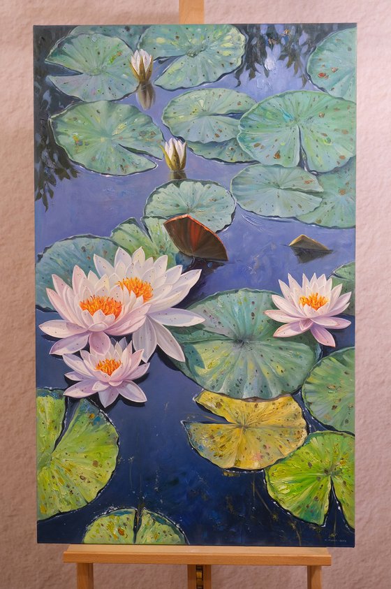 Water Lilies