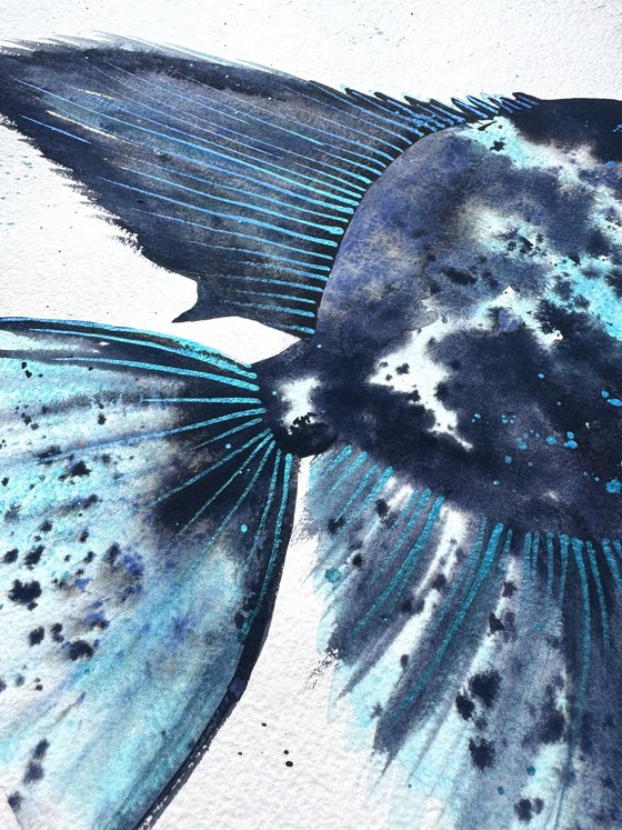 Exotic Blue Azure fish