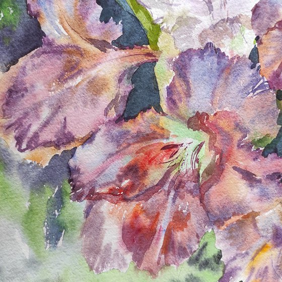 Gladioluses - original painting