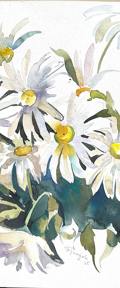 Chamomile bouquet by Yuliia Pastukhova