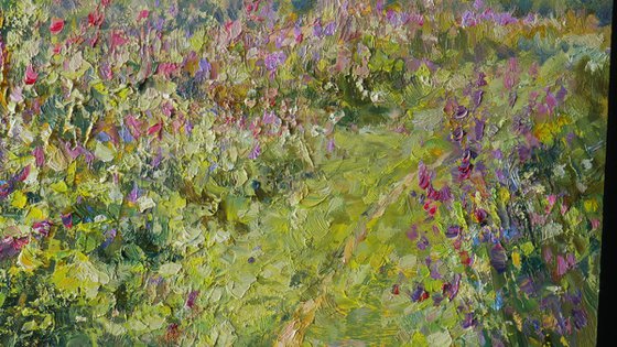 The Sunny Meadow