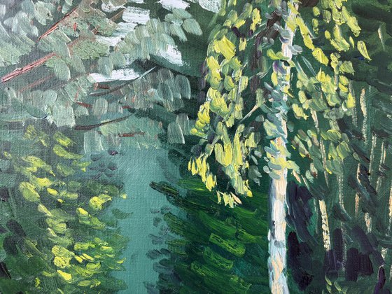 Evening Light on the Birch Tree