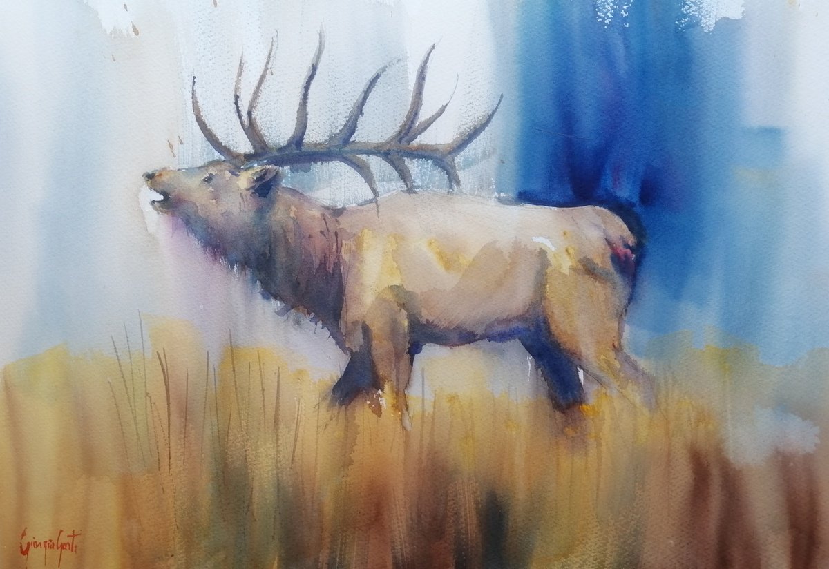 Impressionistic Watercolour , Deer 3 By Giorgio Gosti, 21 X 14, Artwork For Sale On Artfinder