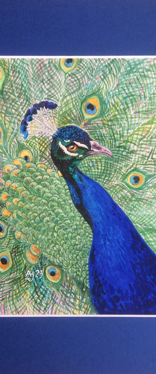 The power of color - peacock by Jolanta Czarnecka