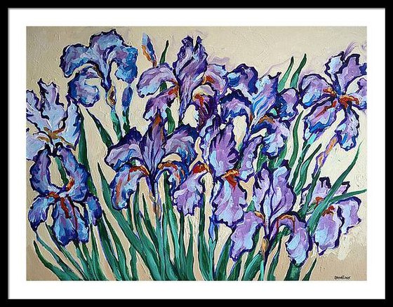 Irises on Cream