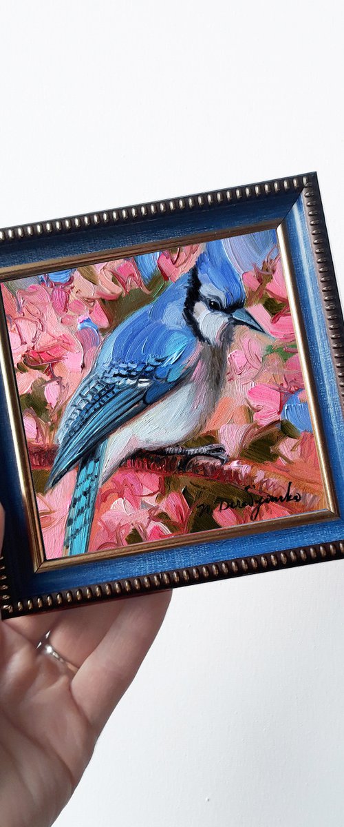 Blue jay bird by Nataly Derevyanko
