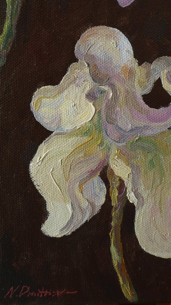 Irises - irises painting