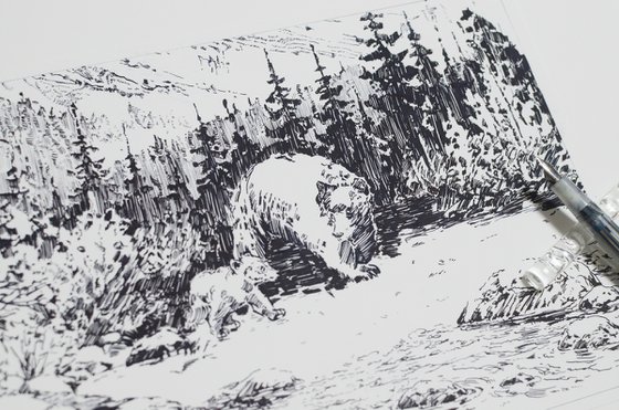 Imagining Bears