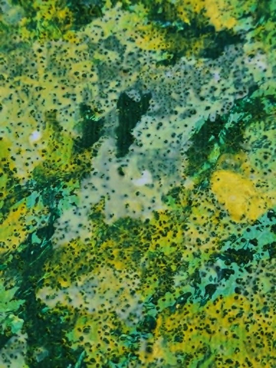 Where Remembrance Grows IV