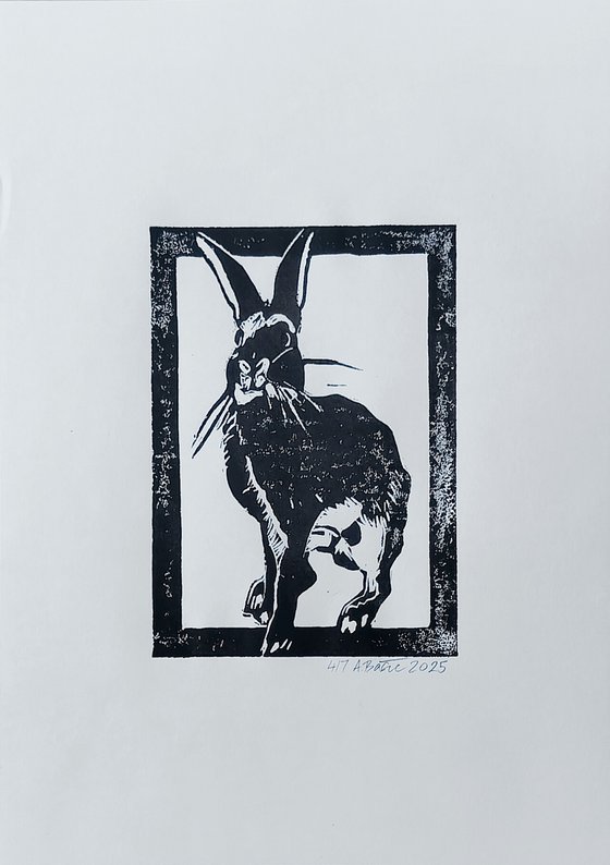 Rabbit 4/7