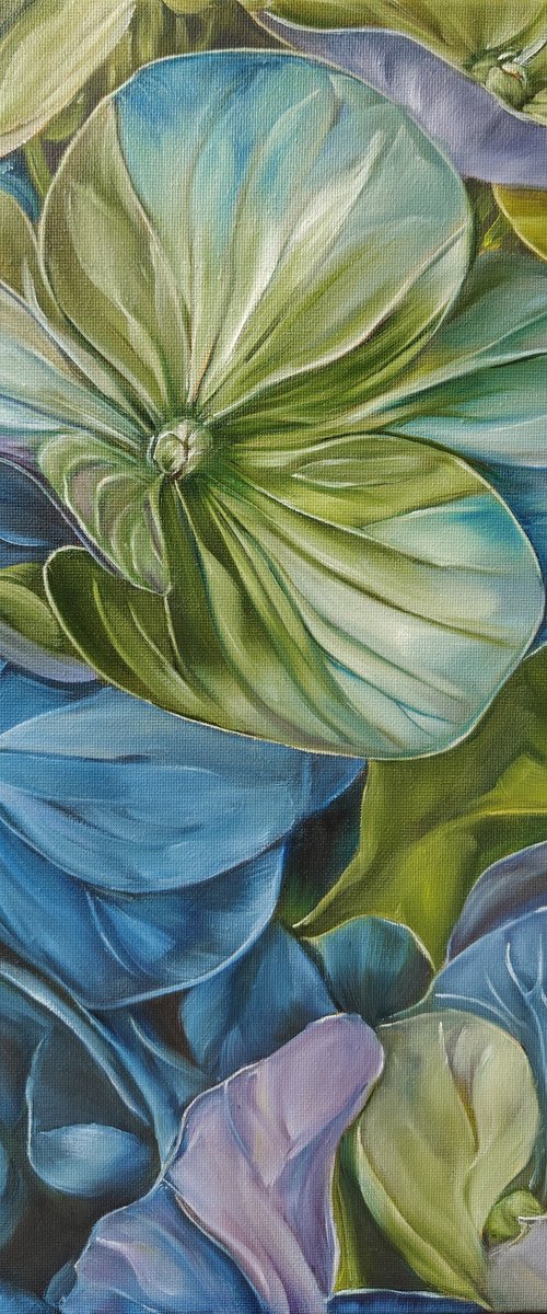 Hydrangea 2 by Olga Van Dine