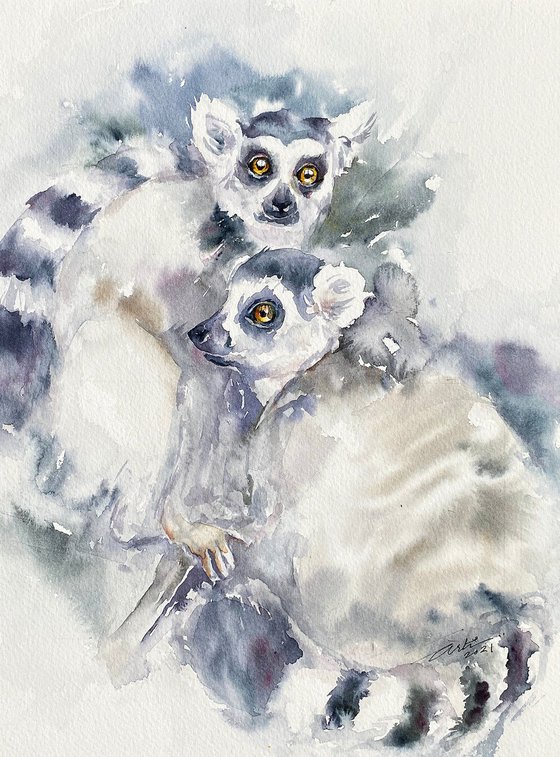 Ring-tailed Pals