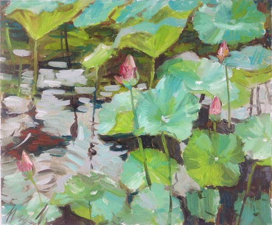 Rainy waterlily. water lilies pond oil painting landscape river sunlight waterlily