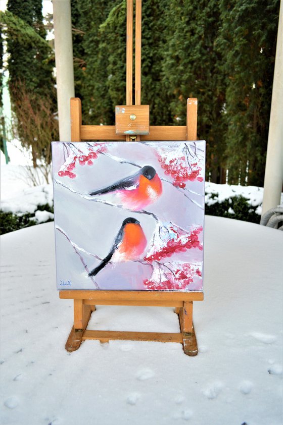 Bullfinches in winter