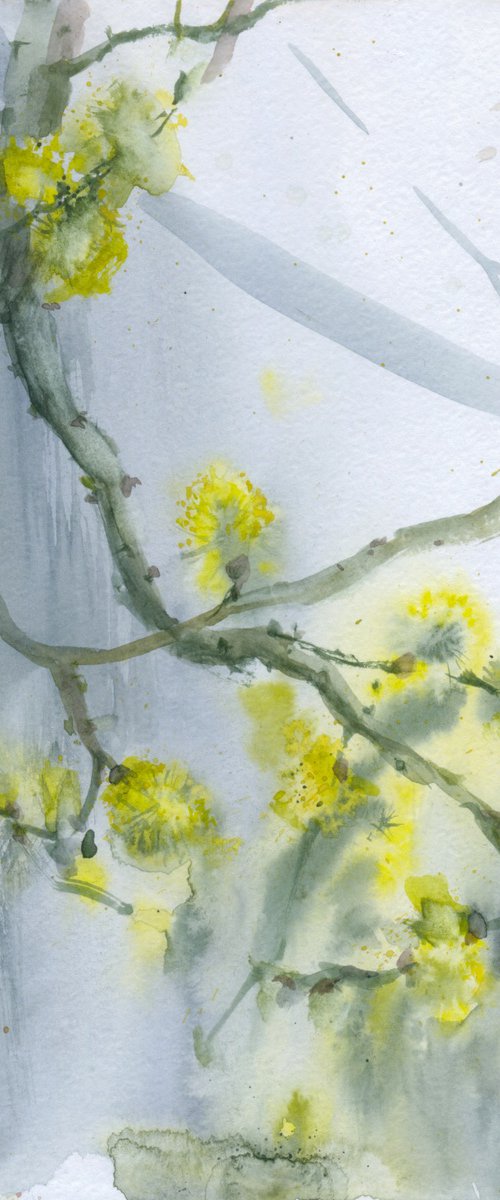 Willow blooming, #2 by Tatyana Tokareva