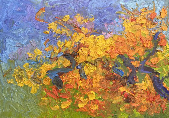 Dance of the vines