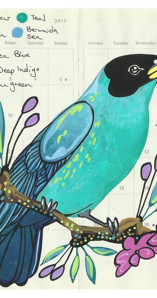 Birds of South America: Turquoise Honeycreeper by Fran Giffard