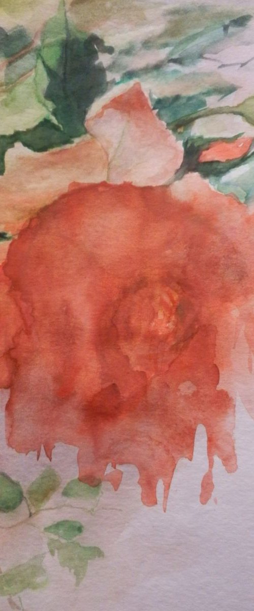 The roses cry by Maria Karalyos
