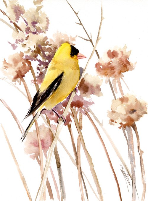 American Goldfinch  and field plants by Suren Nersisyan