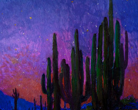 Twilight in the desert, Landscape with Saguaro Cactuses