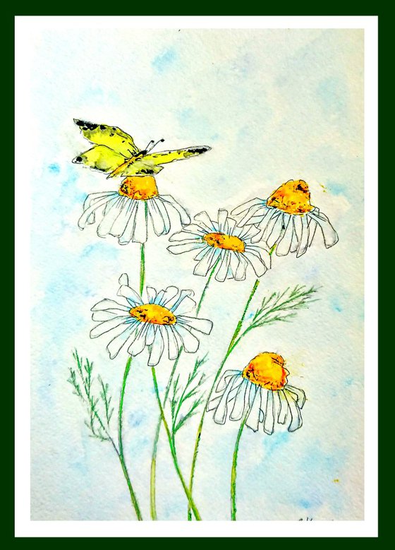 Daisies and Butterfly