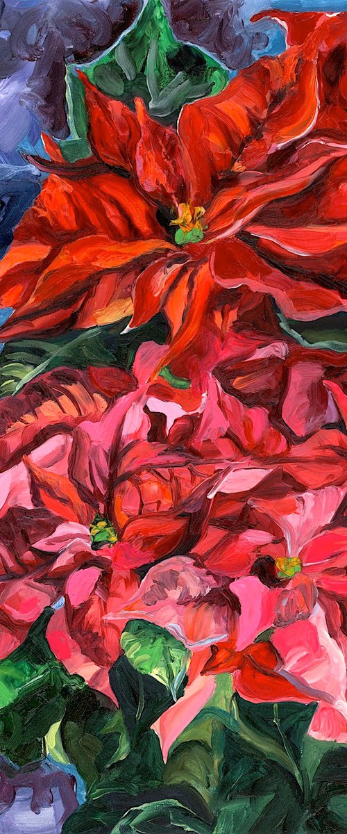 Pink & Red Poinsettia by Christina M Plichta