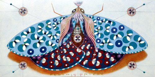 Chromatic butterfly - light blue by Federico Cortese