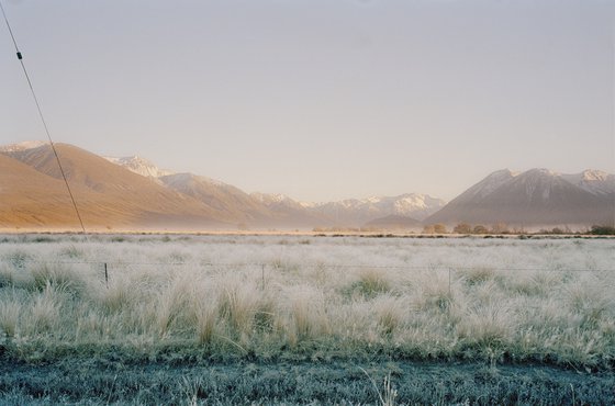 Frozen