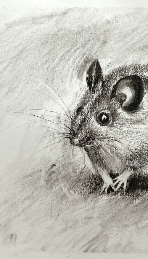 Charcoal Mouse by Luci Power