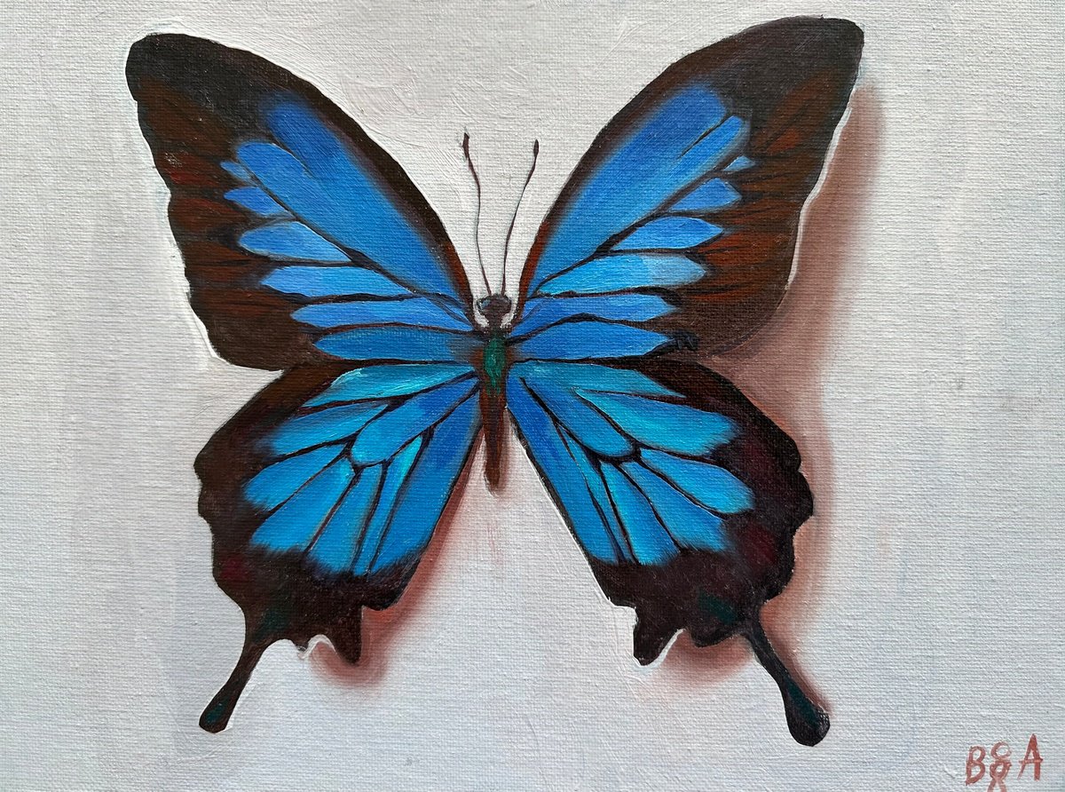 blue butterfly by Anna Bogushevskaya