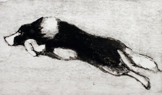 Running Collie vol 2, Dog Monoprint, One of a Kind Print