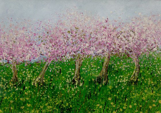 Orchard Blossom