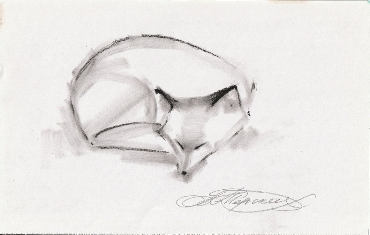 Animal Charcoal Drawing By Anastasia Terskih, 12 X 7, Fox, Original Artwork