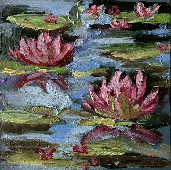 Pond with water lilies.