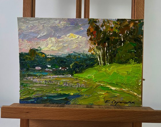 Birch Grove in the Light of the Morning Sun