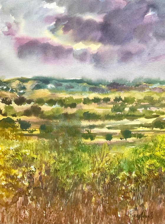 Somerset landscape