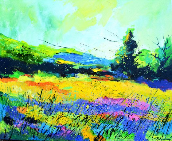 Summer colours