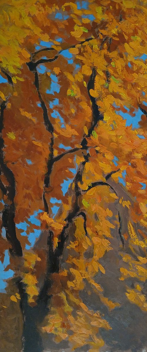 October Leaves by Vasyl Koval
